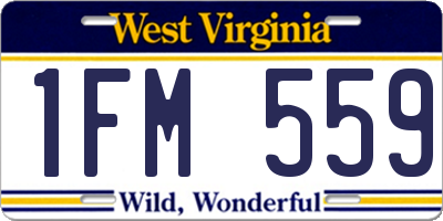 WV license plate 1FM559