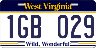 WV license plate 1GB029