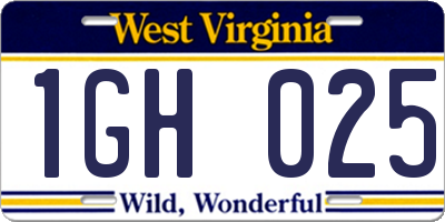 WV license plate 1GH025