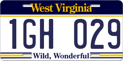 WV license plate 1GH029