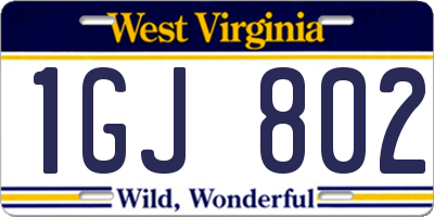 WV license plate 1GJ802