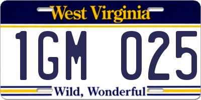WV license plate 1GM025
