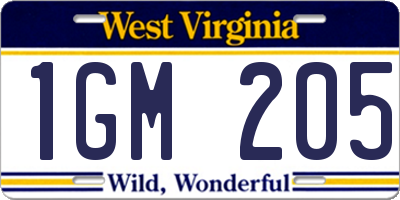 WV license plate 1GM205