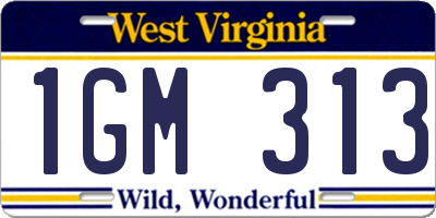WV license plate 1GM313
