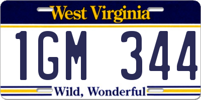 WV license plate 1GM344