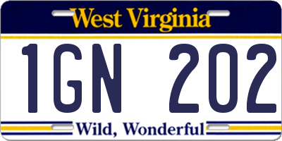 WV license plate 1GN202