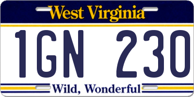 WV license plate 1GN230