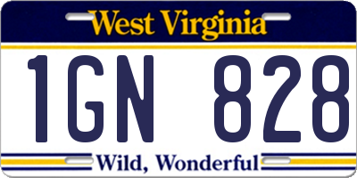 WV license plate 1GN828