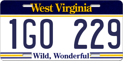 WV license plate 1GO229