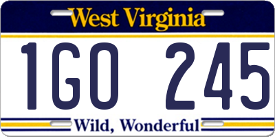 WV license plate 1GO245