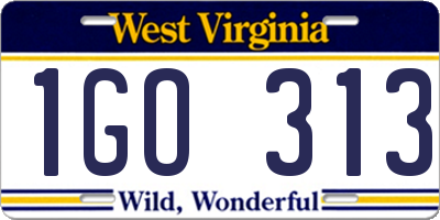 WV license plate 1GO313