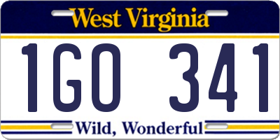 WV license plate 1GO341