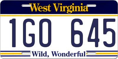 WV license plate 1GO645