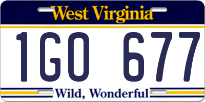 WV license plate 1GO677