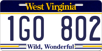 WV license plate 1GO802
