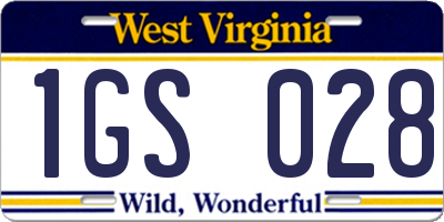 WV license plate 1GS028