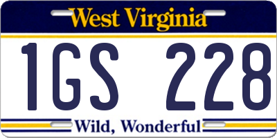 WV license plate 1GS228
