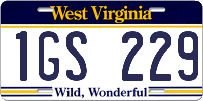 WV license plate 1GS229