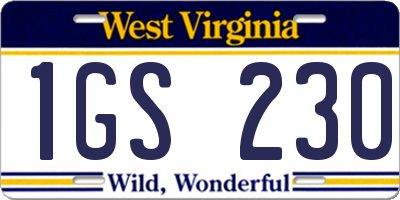 WV license plate 1GS230