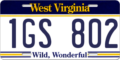 WV license plate 1GS802