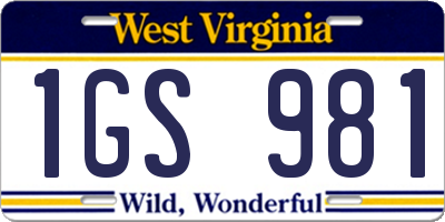 WV license plate 1GS981