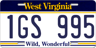 WV license plate 1GS995