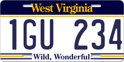 WV license plate 1GU234