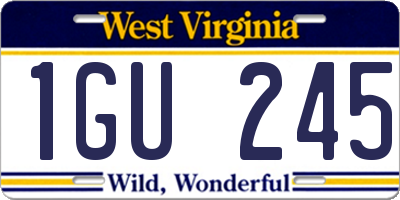 WV license plate 1GU245