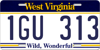 WV license plate 1GU313