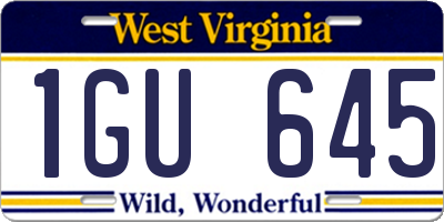WV license plate 1GU645