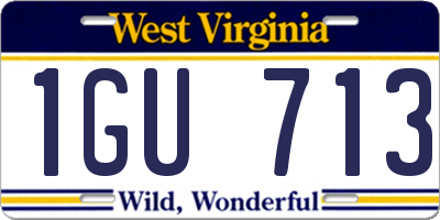 WV license plate 1GU713