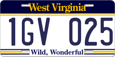 WV license plate 1GV025