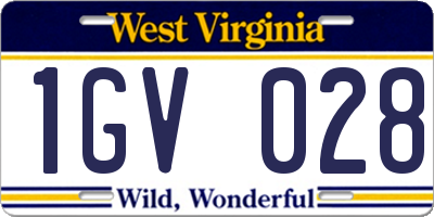 WV license plate 1GV028