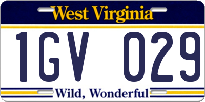 WV license plate 1GV029