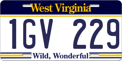 WV license plate 1GV229