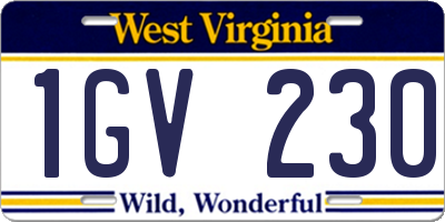 WV license plate 1GV230