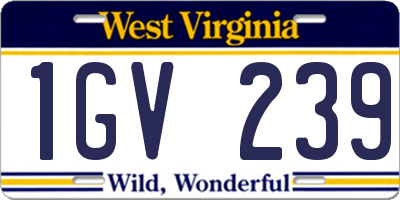 WV license plate 1GV239