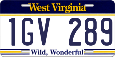 WV license plate 1GV289