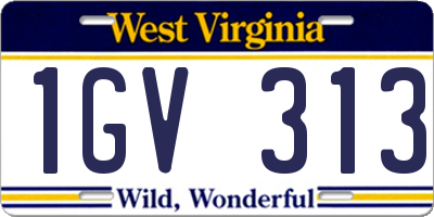 WV license plate 1GV313