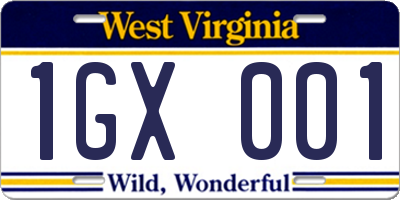 WV license plate 1GX001