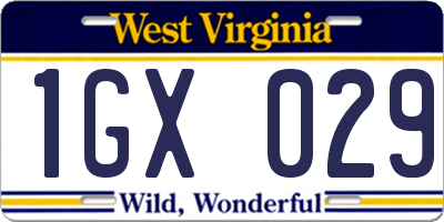 WV license plate 1GX029