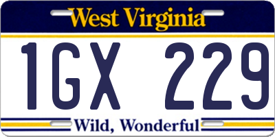 WV license plate 1GX229