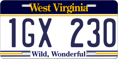 WV license plate 1GX230