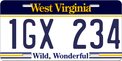 WV license plate 1GX234