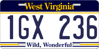 WV license plate 1GX236