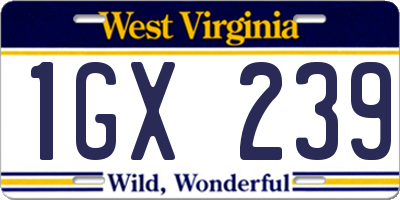 WV license plate 1GX239