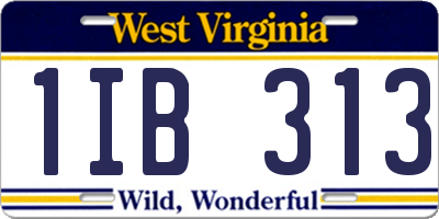 WV license plate 1IB313