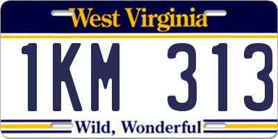 WV license plate 1KM313