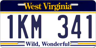 WV license plate 1KM341