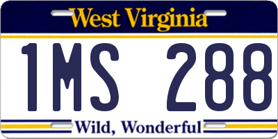 WV license plate 1MS288